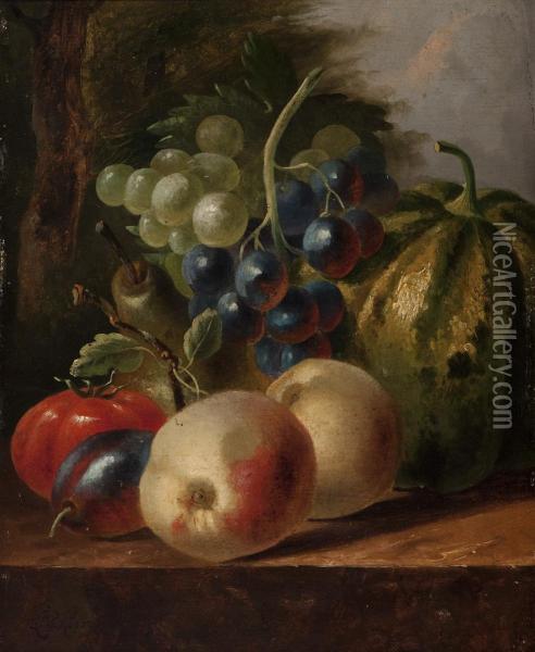 Still Life With Fruit On A Garden Table Oil Painting - Cornelis Johannes De Bruyn