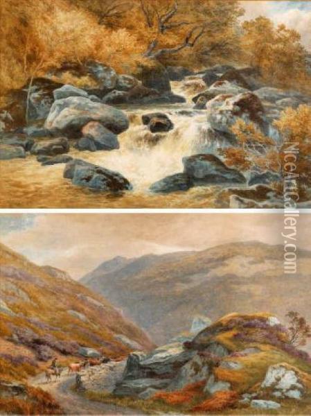 Falls And The Drover Oil Painting - John Steeple