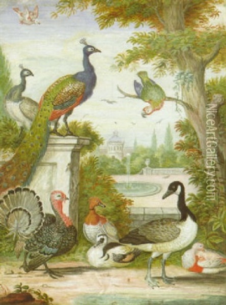 Zwei Pfauen, Ein Papagei, Eine Gans, Ein Truthahn, Enten Und Andere Vogel In Einem Scholsharten Oil Painting - Johannes Bronkhorst