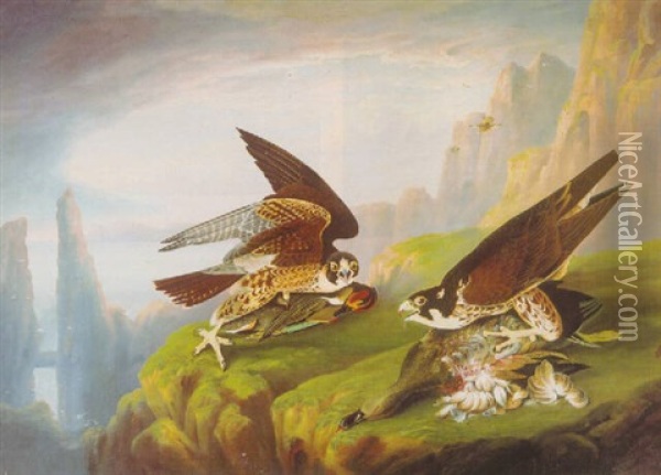Peregrine Falcon Oil Painting - Joseph Bartholemew Kidd