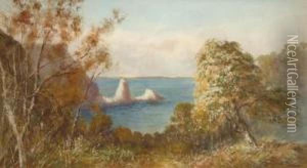 On Thetorquay Coast Oil Painting - William Henry Dyer