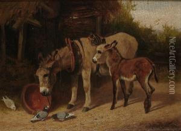 Donkeys In A Farmyard Oil Painting - Arthur Batt