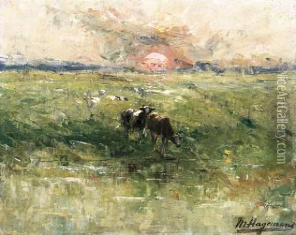 L'aube Dans Les Polders Oil Painting - Maurice Hagemans