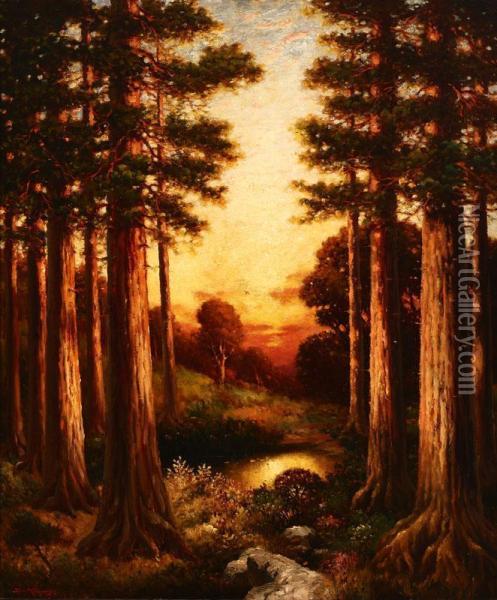 Redwood Sunrise Oil Painting - Dey De Ribcowsky