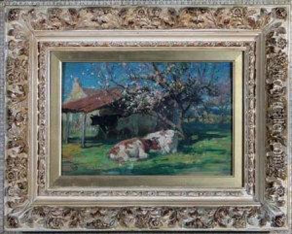 Cows Resting Near A Blossom Tree Oil Painting - Joseph Denovan Adam