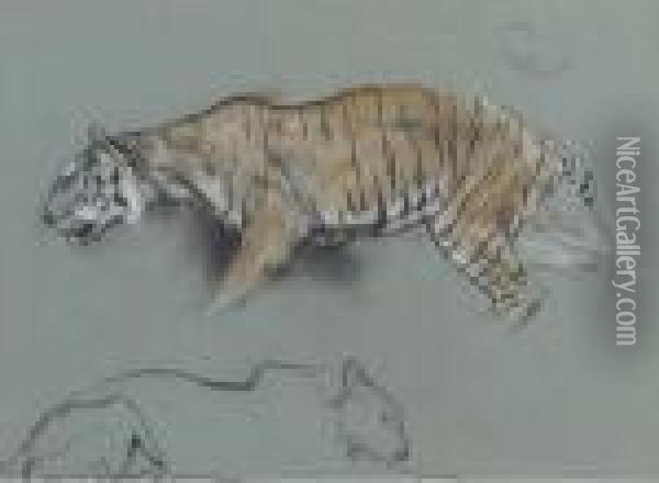 A Study Of Two Tigers: One Crouching And One Sleeping Oil Painting - Arthur Wardle