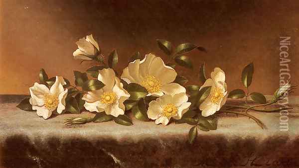 Cherokee Roses On A Light Gray Cloth Oil Painting - Martin Johnson Heade