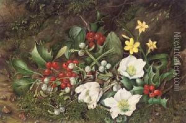 Holly, Mistletoe, Christmas Roses And Narcissi On A Mossy Bank Oil Painting - Jane Taylor