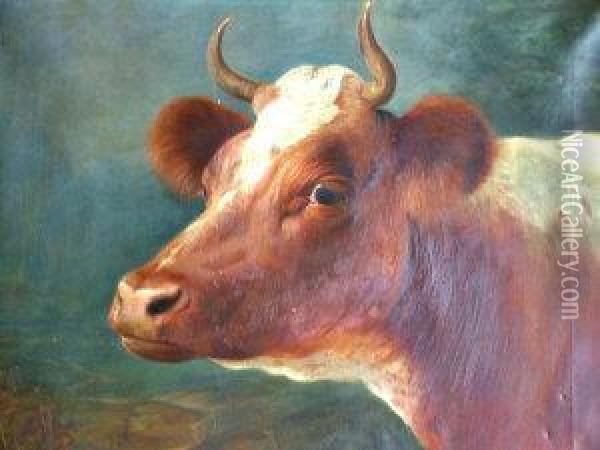 Portrait Of A Bull Oil Painting - Lilian Cheviot