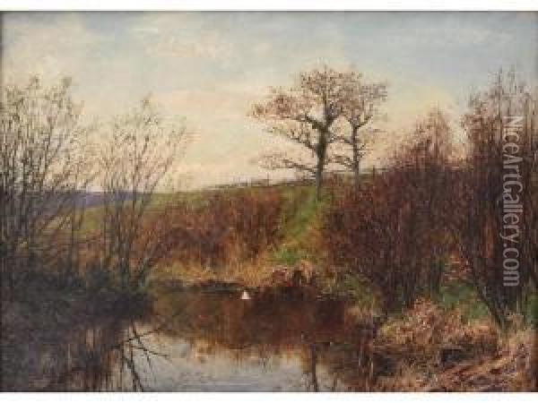 The Home Of The Moorhen Oil Painting - Joseph Langsdale Pickering