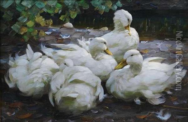 Five White Ducks Resting Oil Painting - Alexander Max Koester