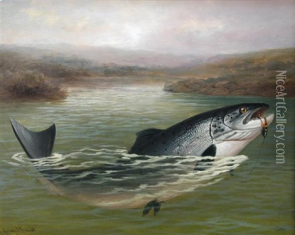 Salmon On The Fly Oil Painting - A. Roland Knight