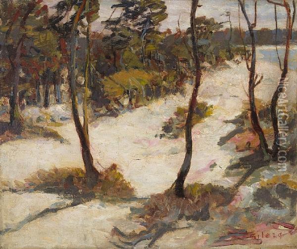 Sand Dunes Oil Painting - Selden Connor Gile