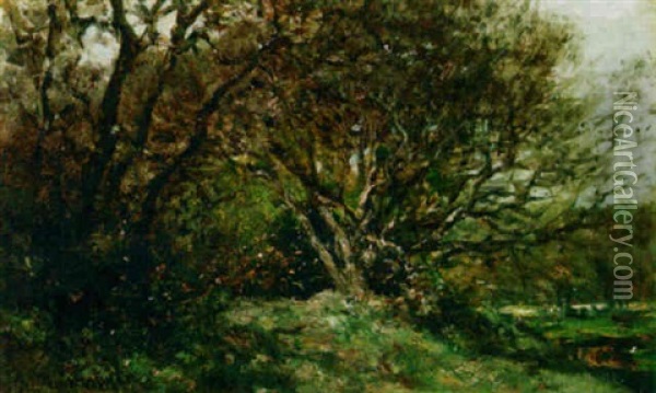 A View Of The Woods, Ockenburgh Oil Painting - Willem Roelofs