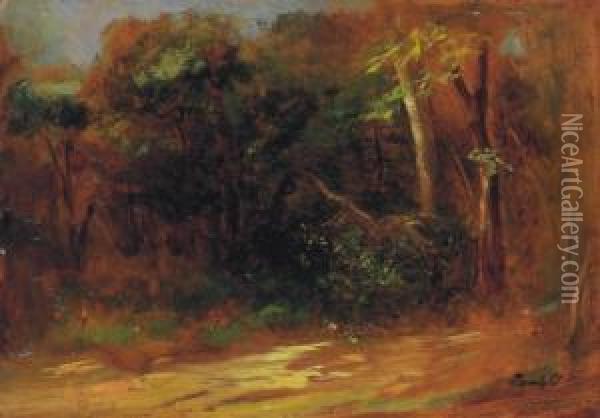 Sunlit Forest Path Oil Painting - Sandor Brodszky