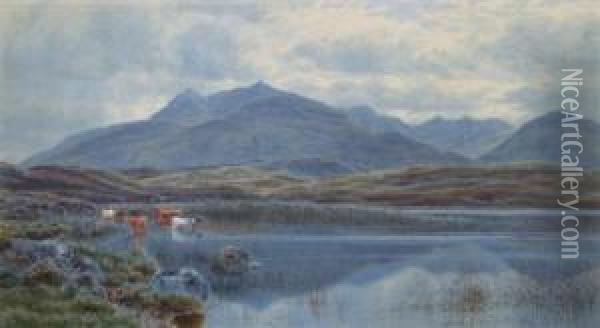 Highland Cattle Crossing A Loch Oil Painting - John James Bannatyne