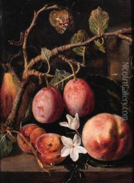 Plums, Apricots On A Twig, A 
Peach With Blossom And A Quince On Astone Ledge, With A Butterfly And A 
Caterpillar Nearby Oil Painting - Pieter Snyers