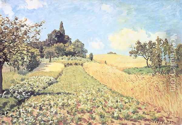 Wheat Field Oil Painting - Alfred Sisley