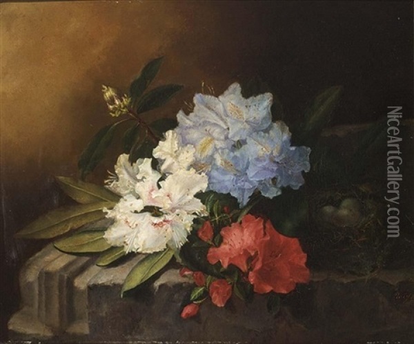 A Still Life With Rhododendrons Oil Painting - Maria Aletta Fennigje Molijn