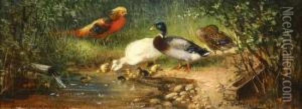 Birds Gathering At The Stream Oil Painting - Julius Scheurer