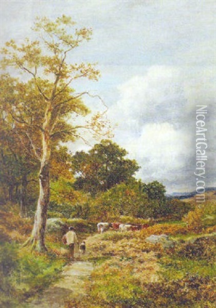 Road Through The Wood, Capel Curig Oil Painting - David Bates