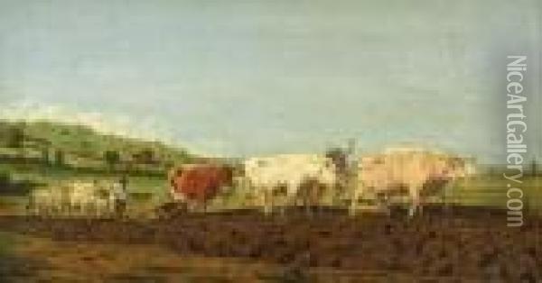 Ackerbau In Der Nievre Oil Painting - Rosa Bonheur