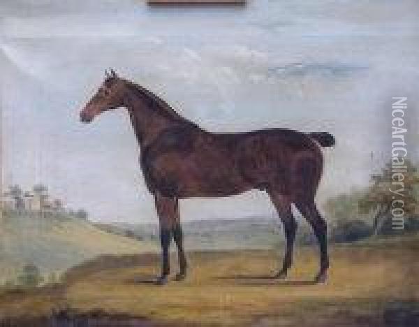 Horse In A Landscape Oil Painting - George Stubbs