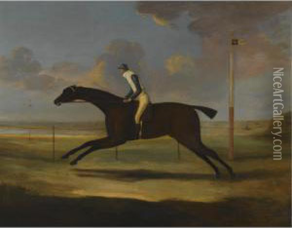 Scorpion, With Jockey Up Oil Painting - J. Francis Sartorius