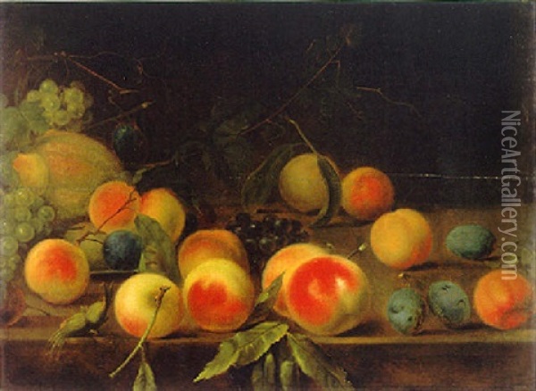 Stilleben Mit Fruchten Oil Painting - Dominicus Van der Smissen