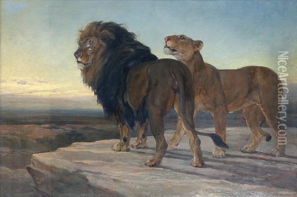 Lion And Lioness Oil Painting - Heywood Hardy