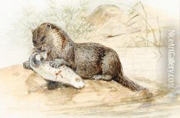 An Otter With A Salmon Oil Painting - Joseph Wolf