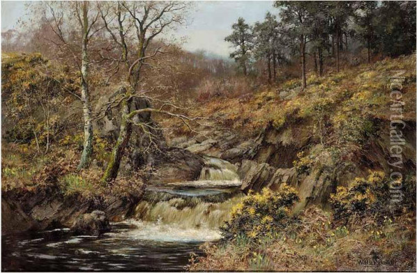A Waterfall Oil Painting - Walter Boodle