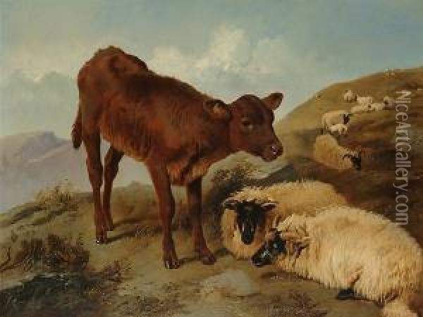 A Calf And Sheep In A Landscape Oil Painting - George W. Horlor