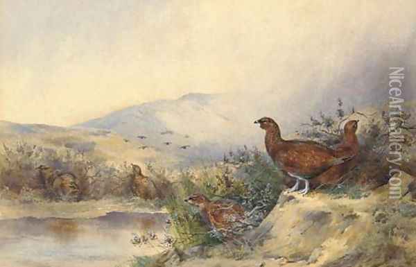 Pheasant Oil Painting - Samuel Wilson