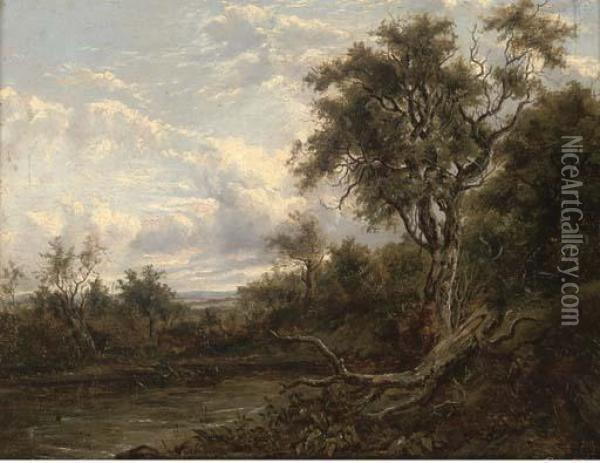 A Fallen Branch On A River Bank Oil Painting - Patrick, Peter Nasmyth