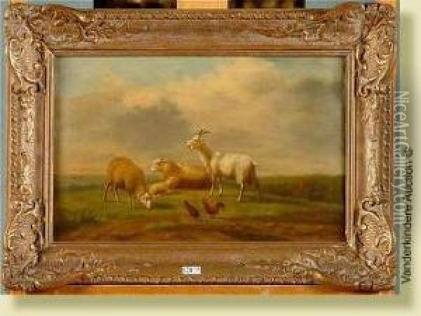 Moutons, Chevre Et Poules Au Pre Oil Painting - Arthur De Waerhert