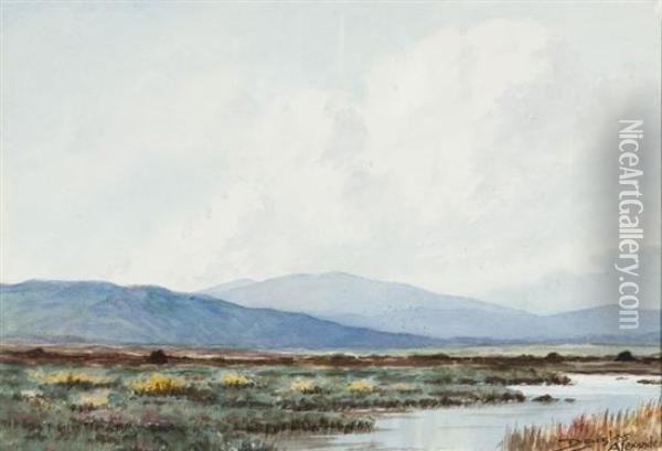 Scene Of Boglands, Near Maam, Connemara Oil Painting - Douglas Alexander