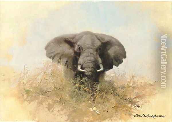 Elephant in the bush Oil Painting - Thomas Hosmer Shepherd