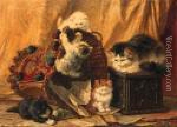 The Turned Over Waste-paper Basket Oil Painting - Henriette Ronner-Knip