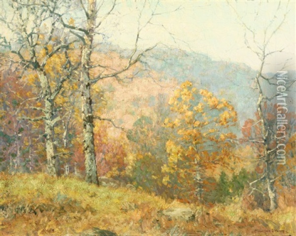 Autumn In The Backcountry Oil Painting - Maurice Braun