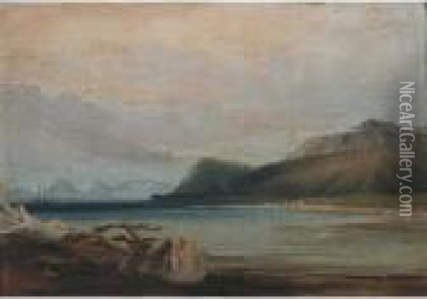 Port Famine, Straits Of Magellan Oil Painting - Conrad Martens