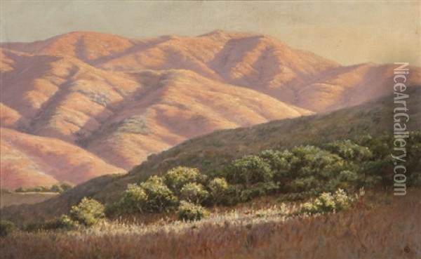 Sun's Last Rays, Marin County, Calif. Oil Painting - Louis Edward Rea