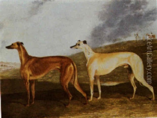 Hounds Oil Painting - Edwin Cooper
