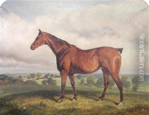 A Bay Hunter In A Landscape, Westacre High House, Norfolk Oil Painting - Samuel John Carter