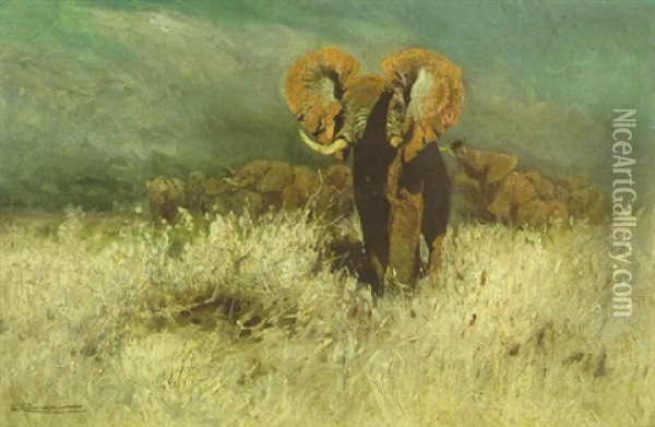 Elefanten Vorm Steppenbrand Fluchtend Oil Painting - Wilhelm Friedrich Kuhnert
