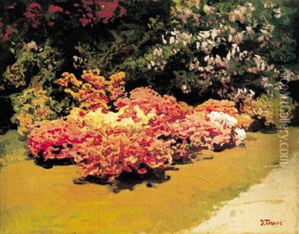 Ogrod, Okolo 1910 Oil Painting - Iwan Trusz