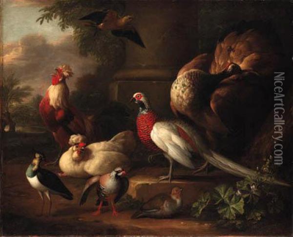 A Peacock, A Pheasant, A Cockerel And Other Birds In Alandscape
Bears Signature And Date 'a.schouman/1746' Oil Painting - Aert Schouman