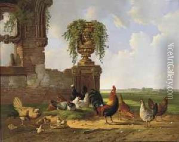 Poultry By A Ruin In An Extensive Landscape Oil Painting - Albertus Verhoesen
