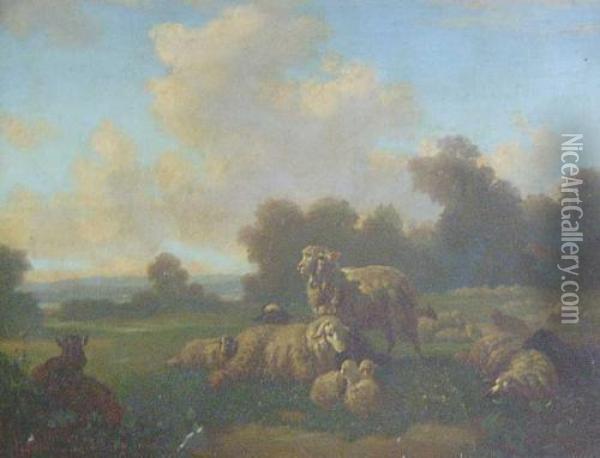 Sheep Resting In A Meadow Oil Painting - Louis, Ludwig Reinhardt