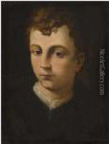 Portrait Of A Boy, Head And Shoulders, Wearing A Black Coat With A White Collar Oil Painting - Agnolo Bronzino